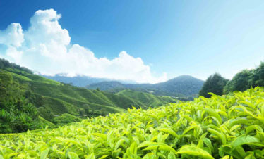 Kerala