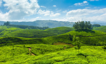 Kerala2