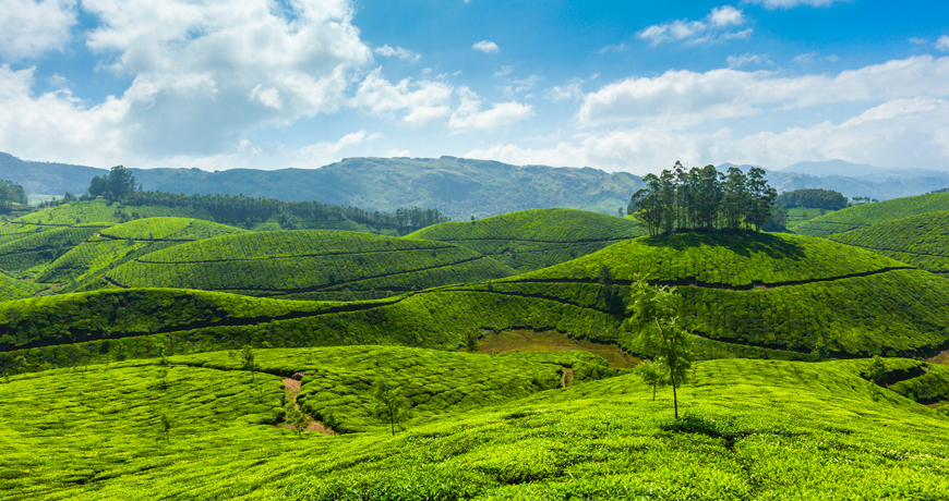 Kerala2