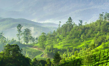 Kerela3